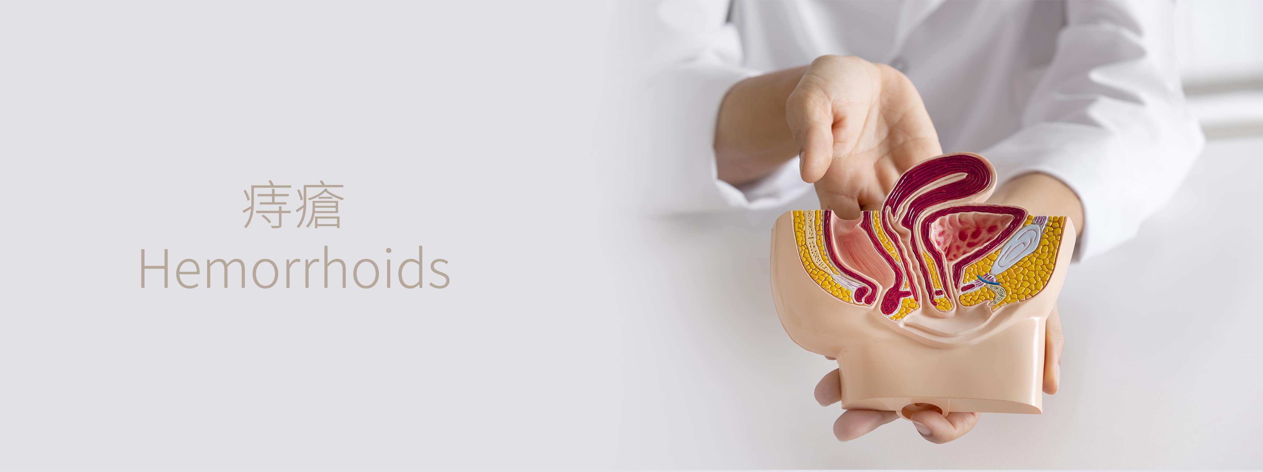 Breast Surgery Banner